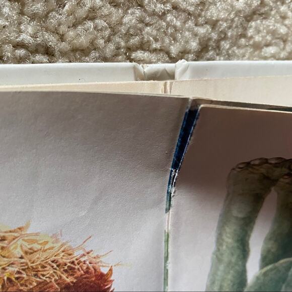 A Golden Book Sesame Street Question and Answer Book About Animals 1983 Book - Picture 4 of 5